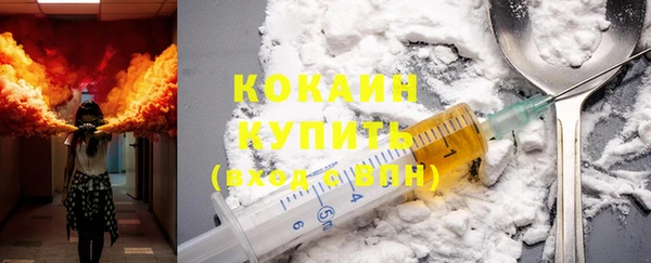 шишки Ленск
