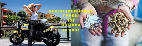 каннабис Михайловка