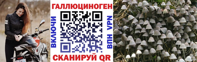 Псилоцибиновые грибы GOLDEN TEACHER  Петушки 